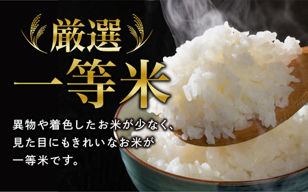 【3回定期】【 令和7年産 】ひとめぼれ 5kg 米 定期便 精米 福島県 田村市