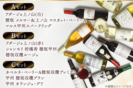 【3回定期便】NS-0012 韮崎ワイナリー赤白ワイン 750ml 3本 3ヶ月 計9本 [韮崎翠緑 山梨県 韮崎市 20745304] 