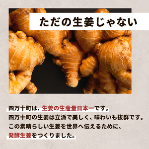 四万十生姜×特許乳酸菌 毎日続ける発酵生姜 「NOT JUST GINGER」 しょうが ショウガ 生姜ペースト  ／ Fnp-03