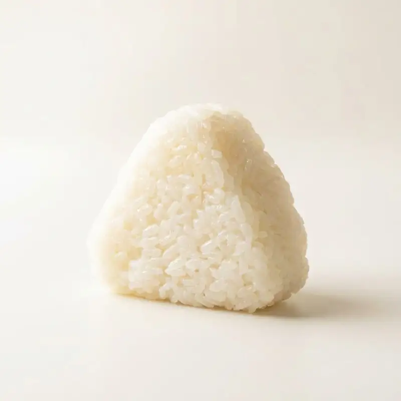 冷凍おにぎり 丹後コシヒカリ 塩おむすび10個｜おにぎり