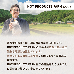 【にこまる】【数量限定】四万十清流育ち!つや甘み際立つ にこまる 10kg　米 こめ 白米 ／ Fnp-06