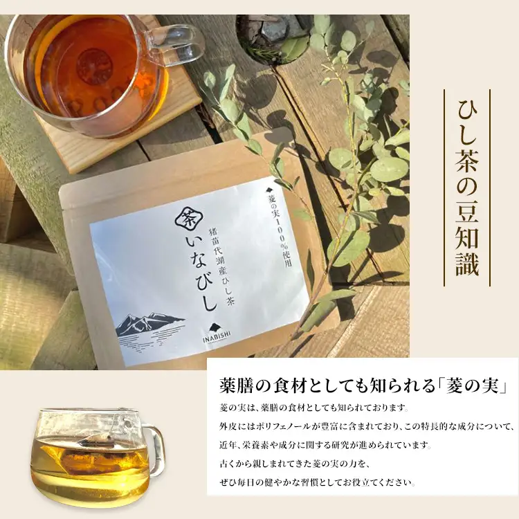 【全12回定期便】ひし茶 50パック（お徳用） 猪苗代湖産 ヒシ茶 ティーバッグ 国産 茶 福島 菱の実100%使用 | 美容 健康 美肌 ポリフェノール 抗酸化作用 ビタミン 人気 福島県 猪苗代
