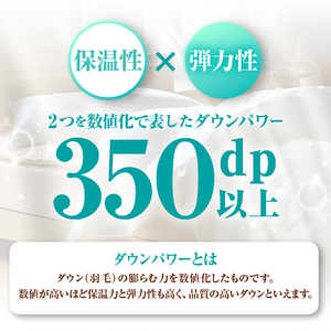 【数量限定・訳あり】羽毛肌掛けふとん【ダブル】ホワイトダウン８５％使用【柄お任せ】