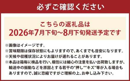 シャインマスカット 晴王 1房 約700g 【2026年7月下旬～8月下旬 発送予定】シャインマスカット マスカット ぶどう 葡萄 岡山県産   種無し 皮ごと食べる みずみずしい7月～8月にお届け フレッシュ 温室栽培 晴れの国おかやま 果物大国 彩美菜果 岡山県 倉敷市 おすすめ 人気 】