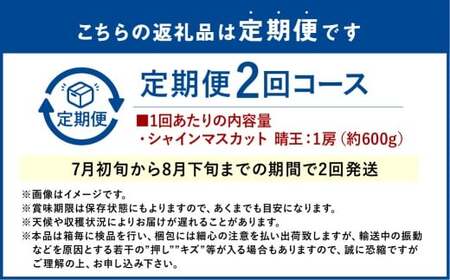 シャインマスカット 晴王 1房 約600g 2回 定期便 7月・8月に1回ずつお届け【2026年7月下旬発送開始】 【シャインマスカット マスカット ぶどう 葡萄 岡山県産   種無し 皮ごと食べる みずみずしい フレッシュ 温室栽培 晴れの国おかやま 果物大国 彩美菜果 岡山県 倉敷市 おすすめ 人気 】