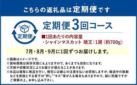 シャインマスカット 晴王 1房 約700g 3回 定期便  7月・8月・9月に1回ずつお届け【2026年7月下旬発送開始】 【シャインマスカット マスカット ぶどう 葡萄 岡山県産   種無し 皮ごと食べる みずみずしい フレッシュ 温室栽培 晴れの国おかやま 果物大国 彩美菜果 岡山県 倉敷市 おすすめ 人気 】