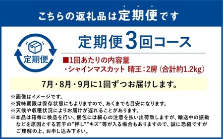 シャインマスカット 晴王 2房 約1.2kg 3回定期便 7月・8月・9月に1回ずつお届け【2026年7月下旬発送開始】【シャインマスカット マスカット ぶどう 葡萄 岡山県産   種無し 皮ごと食べる みずみずしい フレッシュ 温室栽培 晴れの国おかやま 果物大国 彩美菜果 岡山県 倉敷市 おすすめ 人気 】