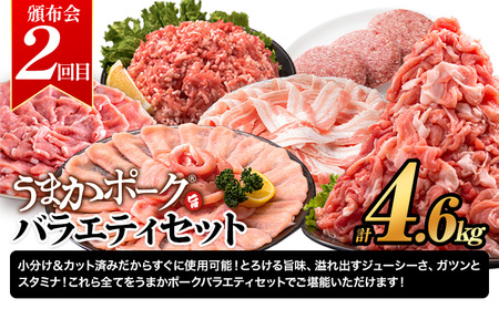 豚肉 うまかポーク 満喫セット 全3回 定期便 うまかポーク 切り落とし ミンチ バラエティセット 生餃子《お申込み月の翌月から発送開始》熊本県 大津町 豚肉 ミンチ 干し芋 ハンバーグ 肉 頒布会 全3回