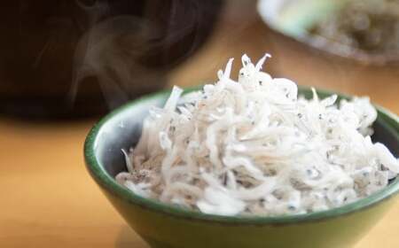 釜あげしらす食堂セット （約100g×5パック） タレ付き しらす シラス 釜あげしらす 釜あげシラス 釜揚げ しらす丼 シラス丼 丼 魚 魚介類 魚介 海鮮 愛媛県 冷凍【えひめの町（超）推し！（伊方町）】（839-1）