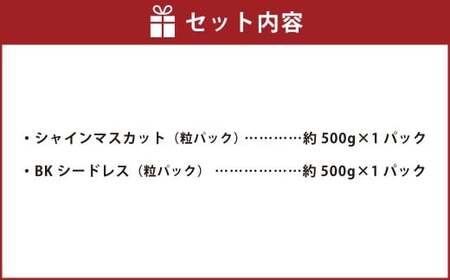 【数量限定】 粒パック 訳あり シャインマスカット （約500g） ＆ BKシードレス （約500g） 計約1kg （各1パック） 【2026年8月下旬～11月上旬発送開始予定】