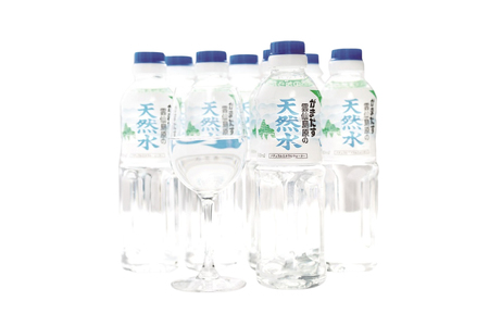 AJ616 山崎本店酒造場 【6回定期便】 雲仙島原の天然水 500mL 30本 計15L [ 水 ペットボトル 天然水 おいしい 備蓄 日用品 大容量 定期便 定期 名水百選 軟水 長崎県 島原市 ]