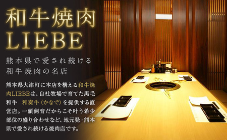 厳選 くまもと黒毛和牛 しゃぶしゃぶ用 サーロイン 600g 《30日以内に出荷予定(土日祝除く)》熊本県 大津町 和牛焼肉LIEBE くまもと黒毛和牛 サーロイン ロース しゃぶしゃぶ 冷蔵 リーベ