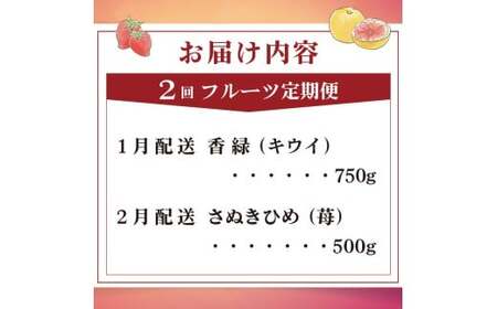 旬のフルーツ定期便 2回 Cコース フルーツ 定期便