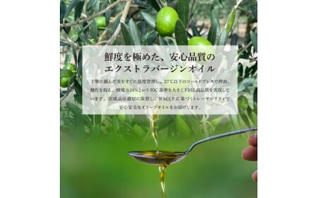 国産 エクストラバージンオリーブオイル オリーブ果実酢 お試し 4本セット