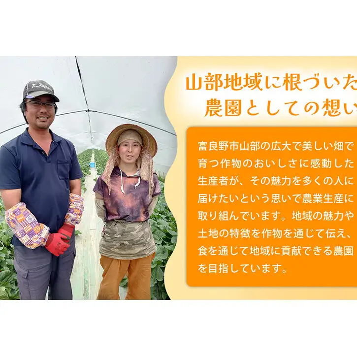 【糖度15度以上 赤肉メロン】富良野産 特秀品メロン 2kg×2玉 2箱 計8kg｜北海道富良野市 7～8月発送 贈答用 ギフト プレゼント メロン 赤肉メロン 富良野メロン 果物 フルーツ とろける甘さ 夏季限定 旬の味覚 芳醇な香り