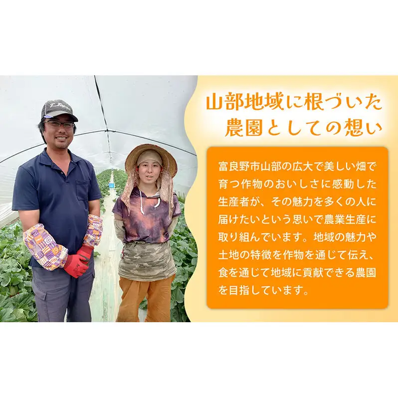 【糖度15度以上 赤肉メロン】富良野産 メロン 1.6kg×1玉 4箱 計6.4kg｜北海道富良野市 7～8月発送 ご褒美 プレゼント メロン 赤肉メロン 富良野メロン 果物 フルーツ とろける甘さ 夏季限定 旬の味覚 芳醇な香り