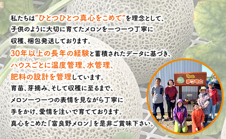 【2026年夏発送】厳選ふらのメロン 赤肉 5玉（8kg）糖度15度以上 [ファームまつもと] メロン 赤肉メロン フルーツ 果物 新鮮 甘い 贈り物 ギフト  ジューシー ブランドメロン 夏 北海道 富良野