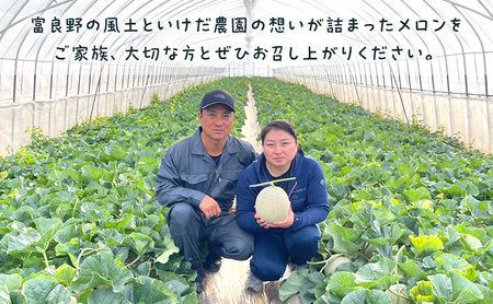 【2026年発送】 富良野メロン 赤肉 2玉入(約4kg以上) メロン ふらのメロン フルーツ 果物 くだもの 美味しい 甘い ギフト プレゼント 北海道 富良野市