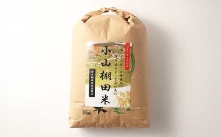 岡山県美咲町産 棚田百選「小山の棚田米」10kg ／ 令和7年産米先行予約 白米 【2025年11月上旬より順次発送予定】 