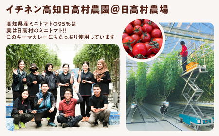 レトルトキーマカレー 5食セット｜高知県産トマト使用 辛くない 国産牛 常温保存