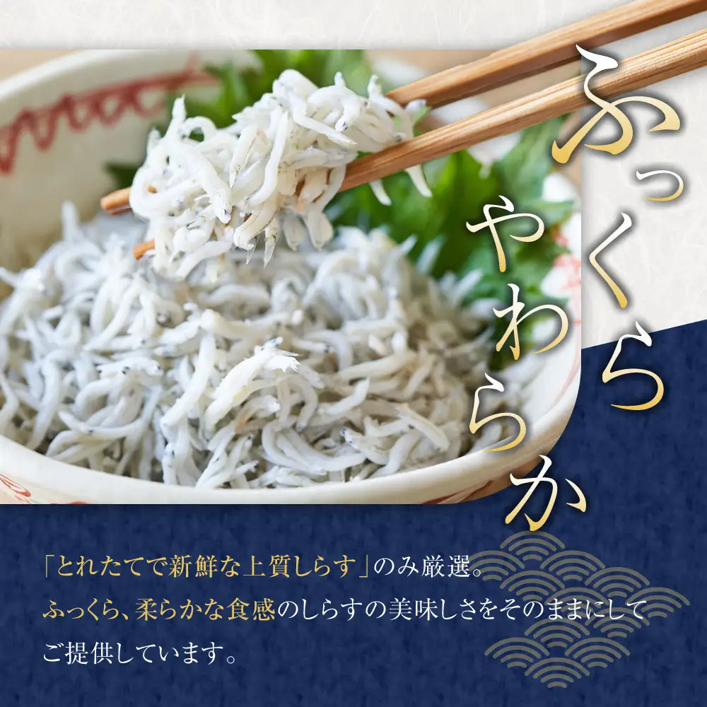 ＼注文数急上昇／釜揚げしらす 1kg しらす　