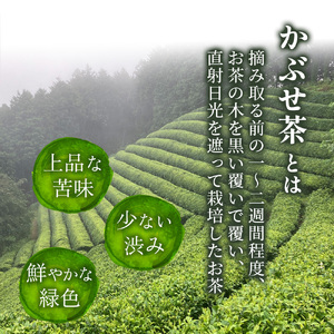 【四万十川源流】 お茶シュトーレン 3本（400g×3）Ikg-113／スイーツ 焼き菓子 ドイツ菓子
