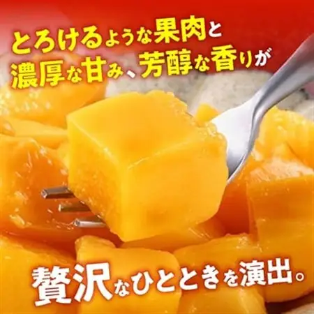 【2026年7月から順次発送・最高級ランク極】燦々マンゴー900g(2玉)_マンゴー_【1622439】
