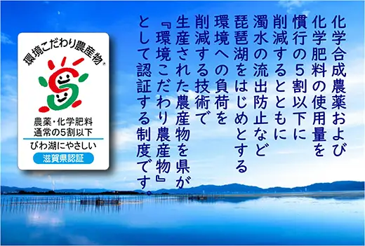 【PRキャンペーン対象】【7年産】 近江米 みずかがみ 無洗米 5kg 【BN15W】 近江米 環境こだわり米 滋賀県産 無洗米