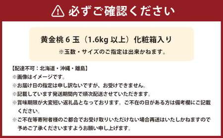 黄金桃 6玉（合計1.6kg以上） 化粧箱入り 【2026年8月下旬～9月上旬迄発送予定】 黄金 モモ もも 桃 フルーツ 果物 国産