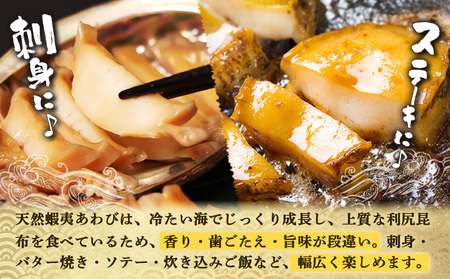 【北海道】天売島産 天然蝦夷あわび 中サイズ 3個入×1パック (1個 約80g～100g)【02169】