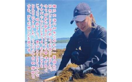 焙煎 ひじき茶 瀬戸内ぽたり 約2g×14パック×2セット 28パック お茶 健康茶 美容茶 ノンカフェイン カフェインレス ダイエット茶 デトックス茶 鉄分補給 食物繊維 腸活 美肌習慣 ミネラル豊富 瀬戸内産 焙煎ひじき茶 キャスミン監修