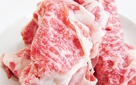A4等級以上 飛騨牛 焼肉 切り落とし 250g × 2 計 500g 牛肉 ブランド牛 肉 切落し わけあり ぎゅうにく にく ひだぎゅう ひだうし 訳あり 商品 ワケアリ 不揃い 大容量 切り落とし きりおとし 小分け 冷凍 ネオプライムヒグチ 食品 訳有 焼肉セット 焼肉用 選べる 肉のひぐち F6M-330