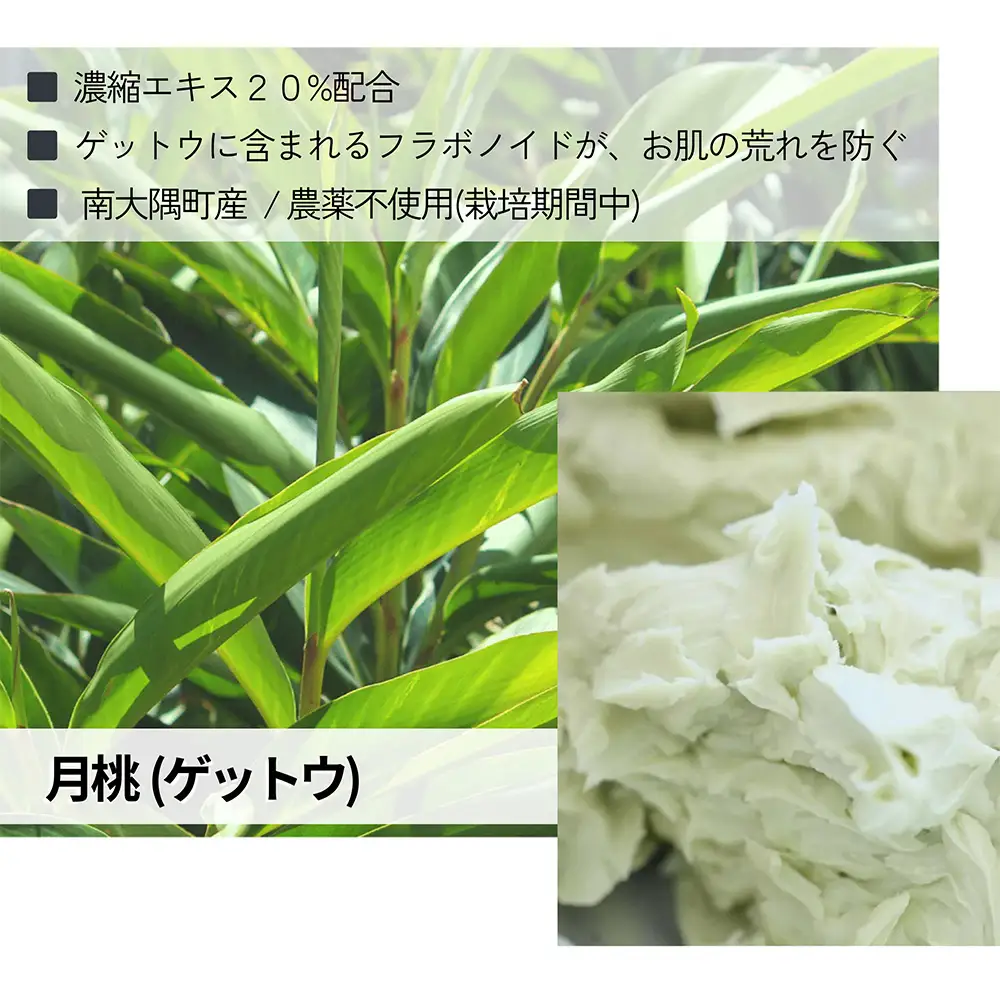 ALWAYS NEW BALM（35g×３個）Kruhi巾着セット VW-2｜バーム ホホバ種子脂 ミツロウ スキンケア 乾燥対策 保湿 ヘアケア ギフト 美容商品 化粧品 練り香水 サステナブルコスメアワード2023 GOLD賞受賞 Kruhi Valley and Wind