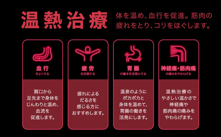 家庭用医療機器〔エアー〕ヘルシオン(ダブル)