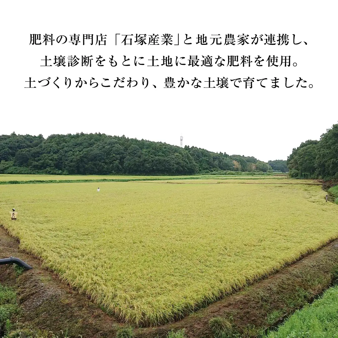 【 令和7年産 】 【 3ヶ月 定期便 】 極上ふるさと米 精米 5kg × 3回 ( 合計 15kg ) (茨城県共通返礼品 かすみがうら市) スピード 最短 7日 すぐ届く すぐ発送 スピード発送 早い 米 ごはん もっちり 甘い コメ お米 白米 コシヒカリ こしひかり あきたこまち にじのきらめき ミルキークイーン オールインワン米 [EX033sa]