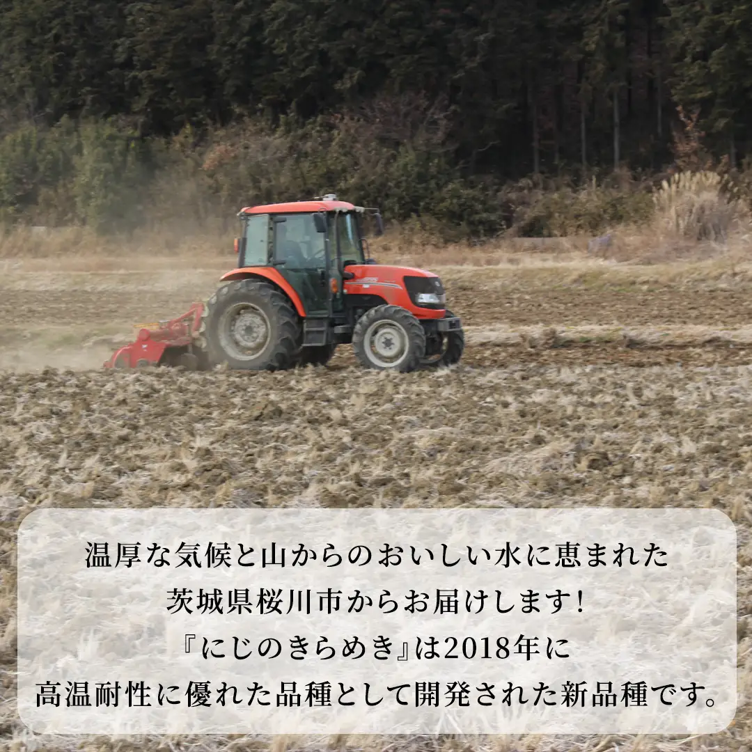 令和7年産 にじのきらめき 10kg ( 5kg × 2袋 ) 白米 精米 国産 茨城県 お米 米 おこめ おコメ ごはん 銘柄米 スピード 最短 7日 すぐ届く すぐ発送 [SC055sa-sp]