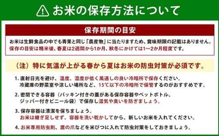 【 令和7年産 】 【 数量限定 】 うきはものがたり 精米 20kg （5kg×4袋） 米 おこめ お米 白米 こめ ライス rice kome ごはん ご飯 コメ ブランド米 精米 10キロ 小分け 国産 令和7年度産 福岡県 うきは市