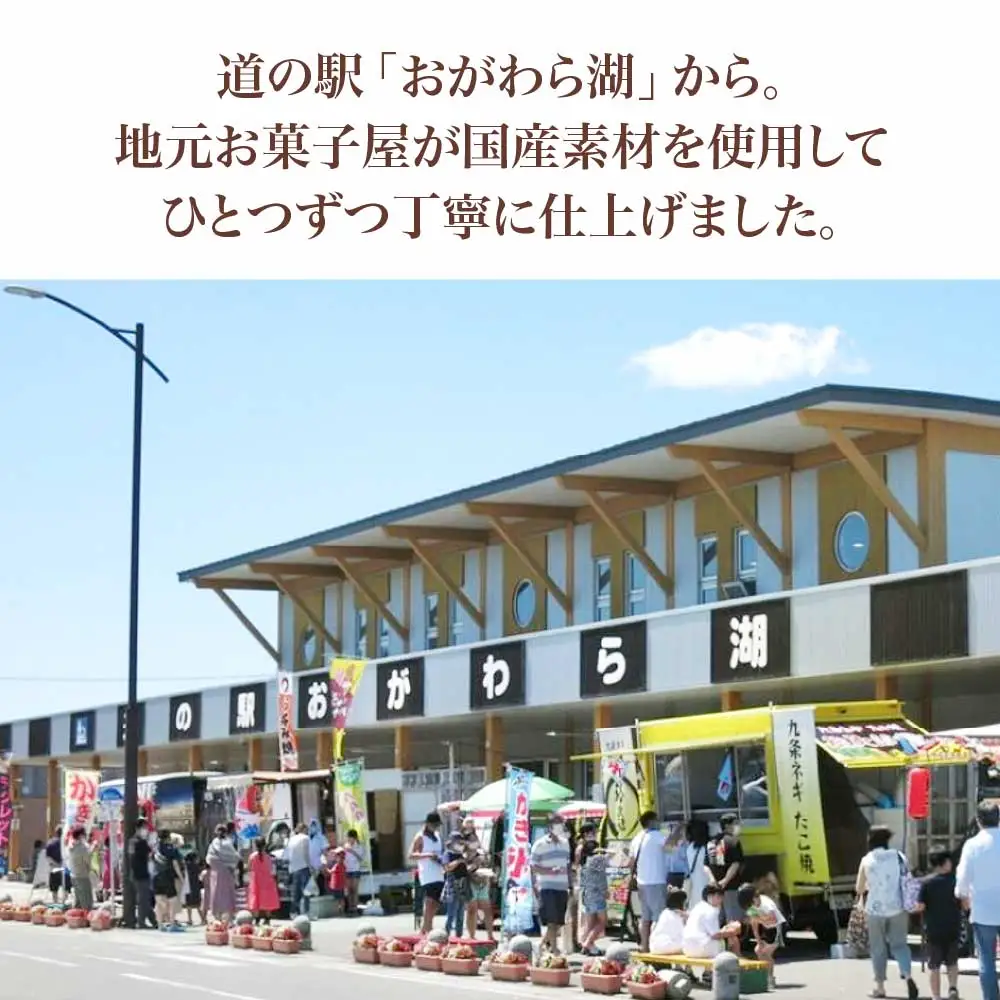 小川原湖銘菓　わかさぎ最中　10個×1箱　【02408-0162】