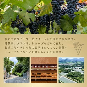 安心院スパークリングワイン赤(計750ml)酒 お酒 ワイン 赤ワイン スパークリングワイン ぶどう 葡萄 飲み比べ セット スピード発送 【107306800】【時枝酒店】