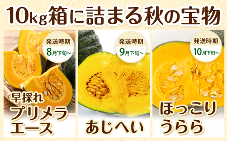 北海道名寄産 かぼちゃ 10kg 5玉～6玉北海道 名寄市 野菜 かぼちゃ 南瓜 黄金かぼちゃ先行予約【2026年10月上旬-10月下旬頃出荷】