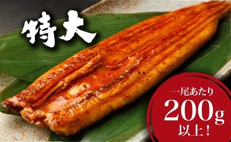＜土用の丑の日（7月26日）着＞うなぎ蒲焼き 400g (200g×2尾) 