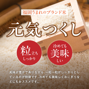 【定期便4回】【令和8年産 新米】福岡県産ブランド米元気つくし 白米 27kg×4回 _  元気つくし 27kg  お届け回数 4回 定期便 福岡県産 ブランド米 精米 新米 福岡生まれ 品種 香り豊か ふっくら 食感 ご飯 白ご飯 おにぎり 弁当 お米 食品 お取り寄せ 九州 久留米市産 福岡県 久留米市 送料無料  〔Tk114-04〕