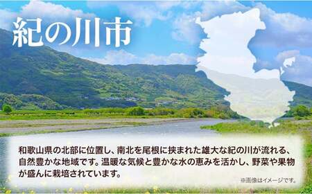 無洗米 米 10kg お米 無洗米 10キロ 紀の川応援米
