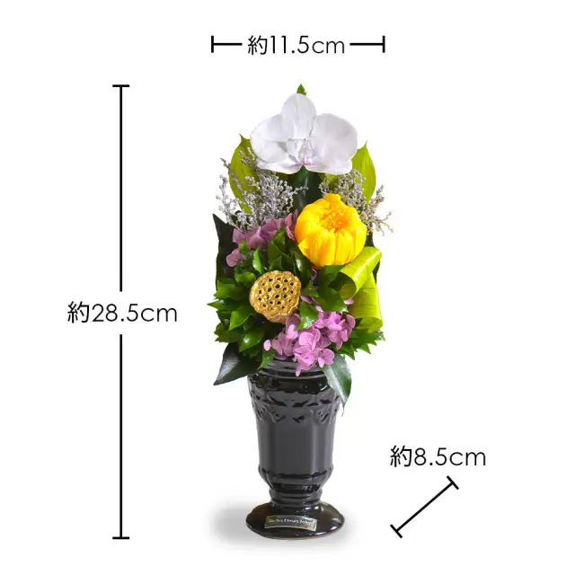 花 プリザーブドフラワー 蓮華 (れんげ) ギフト プレゼント お祝い 誕生日 お供え アレンジ インテリア 東京都 墨田区 胡蝶蘭/単品