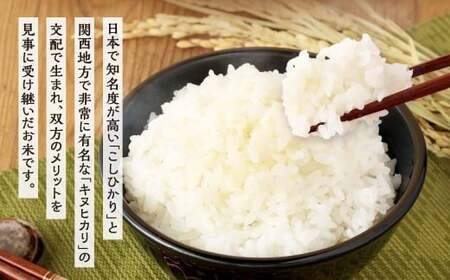 【令和7年産】 精米 食味鑑定士厳選 夢つくし 10kg（5kg×2袋） 米 こめ コメ お米 単一原料米