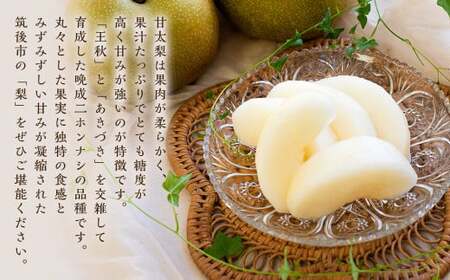 甘太梨 9玉～12玉 約5kg 梨 ナシ 果物 フルーツ 福岡県産 【2026年9月上旬～9月下旬発送】
