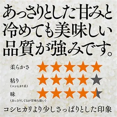 おいしいお米(5kg) 無洗米 リピーター続出 きぬむすめ【1184608】