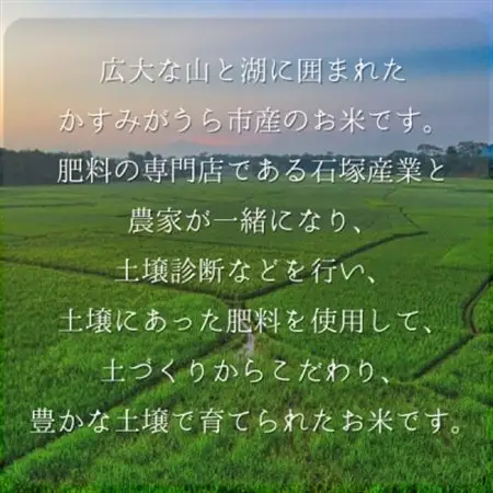 極上ふるさと米　精米5kg【配送不可地域：離島・北海道・沖縄県】【1703564】
