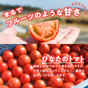 門川ひなたのトマト(800g×1箱) 高糖度 トマト フルーツトマト 野菜 旬野菜 冷蔵 門川町産 宮崎県 門川町 【TM-01】【宮崎県農業協同組合日向地区本部(門川選果場)】