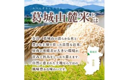 玄米 先行予約 ※3ヶ月定期便※ 葛城山麓米 ヒノヒカリ（玄米）5kg ×3ヶ月 令和8年産 【2026年11月・12月・1月発送】／ 奈良 葛城 山麓米 産地直送 米 お米 新米 こめ 国産 甘い 美味い おにぎり ご飯 おかず 減農薬 特別 安心 安全 ギフト ふるさと納税 人気 ランキング 常備米 精米 白米 5kg 定期便【smlk-tkb008】